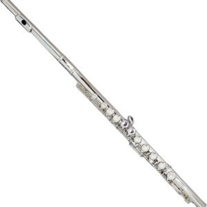 Deloitte C Flutes Closed Hole 16 Keys Flute Silver Plated, DFL-201, for Beginner Student Flute Instrument with Cleaning Kit, Carrying Case, Gloves, Tuning Rod