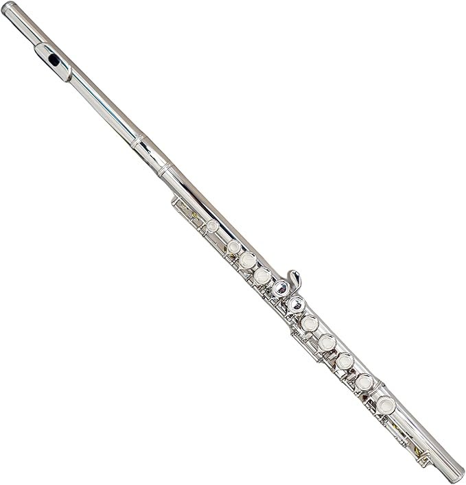 Deloitte C Flutes Closed Hole 16 Keys Flute Silver Plated, DFL-201, for Beginner Student Flute Instrument with Cleaning Kit, Carrying Case, Gloves, Tuning Rod